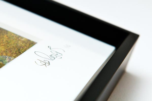 Seb Rogers Limited Prints – with added triptychs…