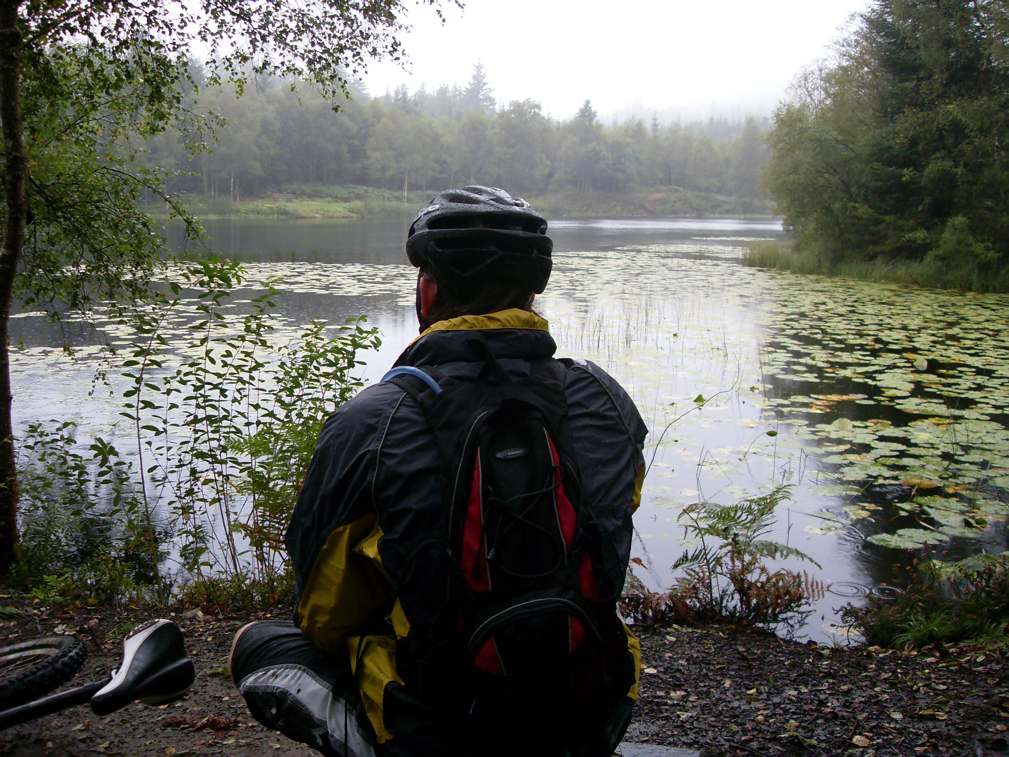 Getting back in the Saddle