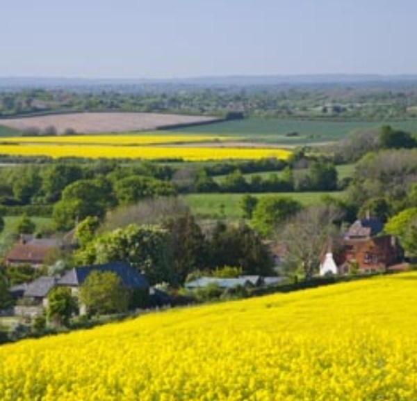 Mountain Biking Weekends for Singles