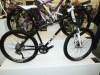 icebike 2011 (8)