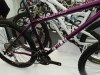 icebike 2011 (10)