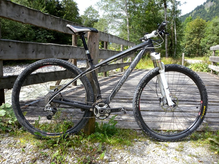 Long Termer Review: Dave’s Santa Cruz Highball