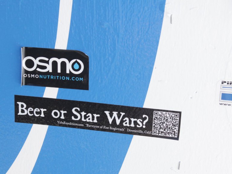 Sea Otter 2012: More Random Sightings