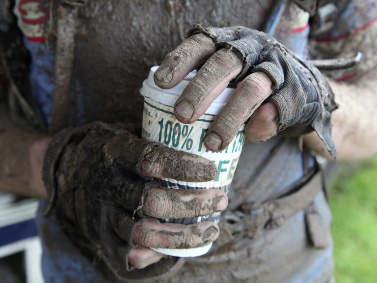 Wiggle Mountain Mayhem: Gallery Two