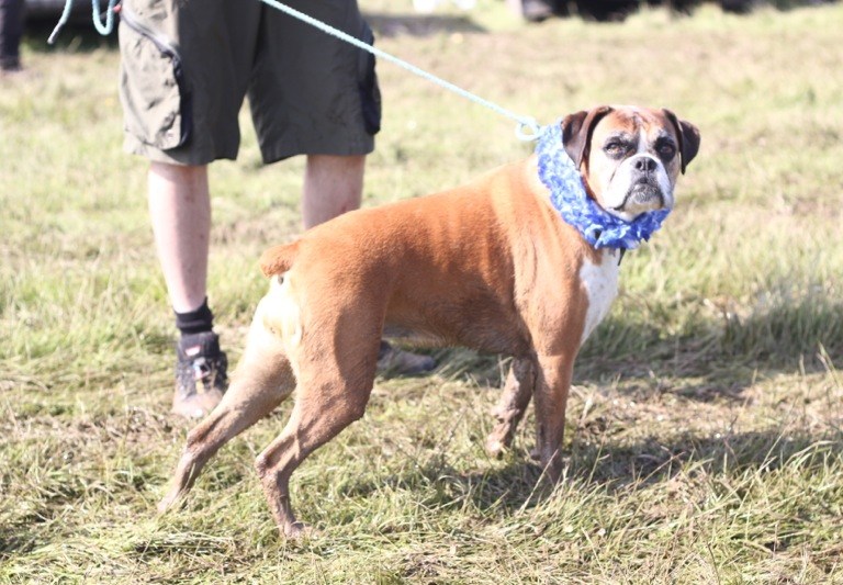 Fresh Goods Friday – or not.