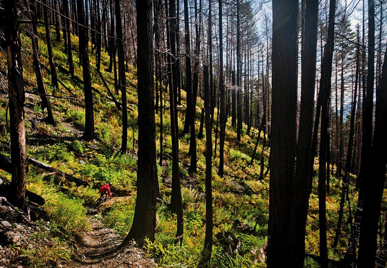 What’s in Singletrack Issue 76? A sneak peek…