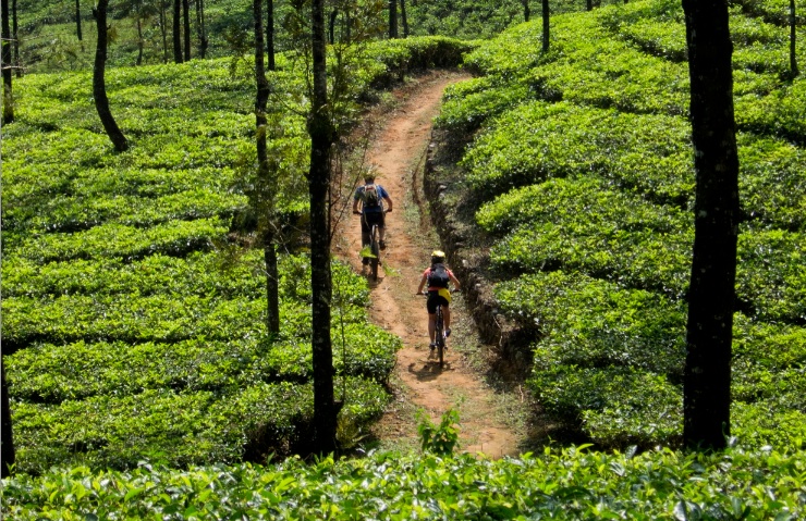Tuesday Treats 3:  Mountain Bike Kerala