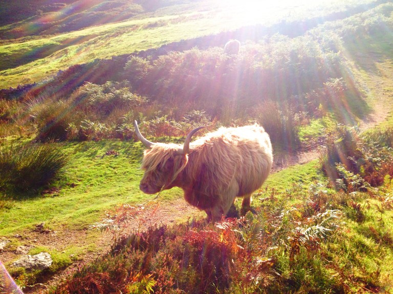Kinesis UK Hell of the West