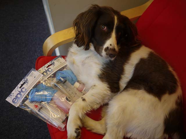 Fresh Goods Friday 121