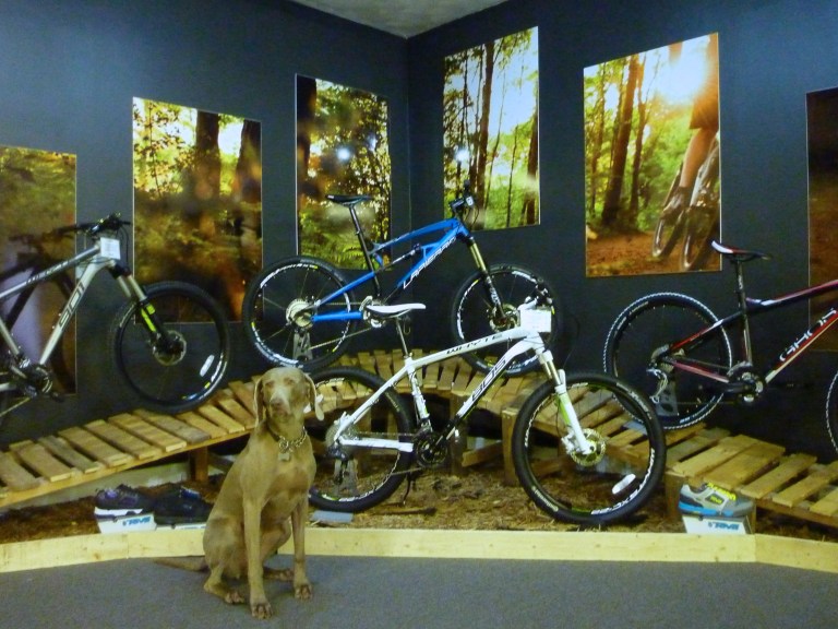 Tuesday Treats 17: The Ride Stuff