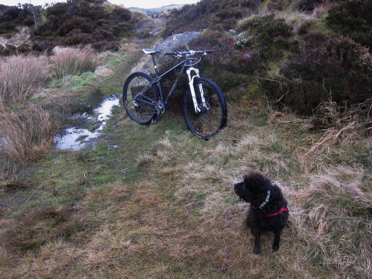 Keep An Eye On Yourself