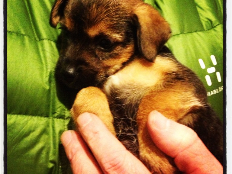 Fresh Goods Friday 125