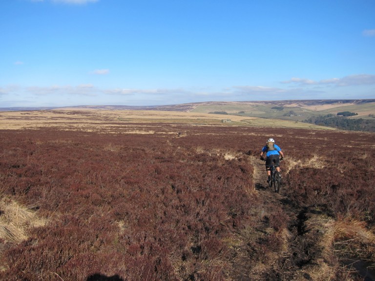 Monday Morning Debrief No.16