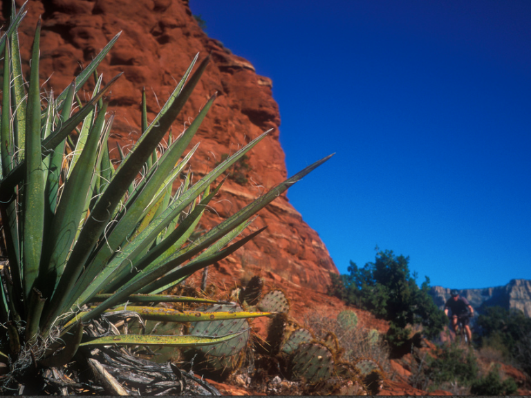 Monday Morning Debrief 17