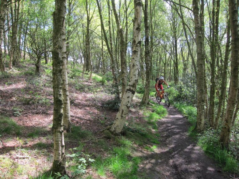 Monday Morning Debrief 24