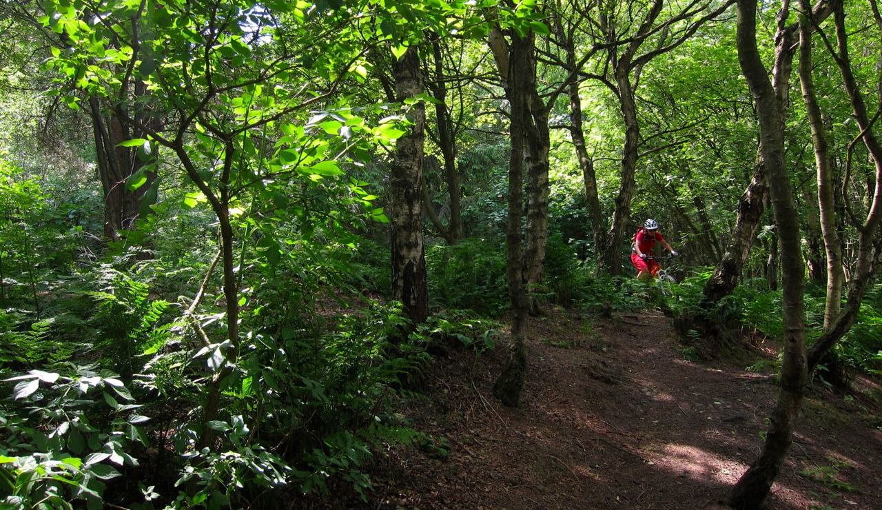 Monday Morning Debrief 26