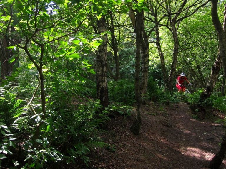 Monday Morning Debrief 26