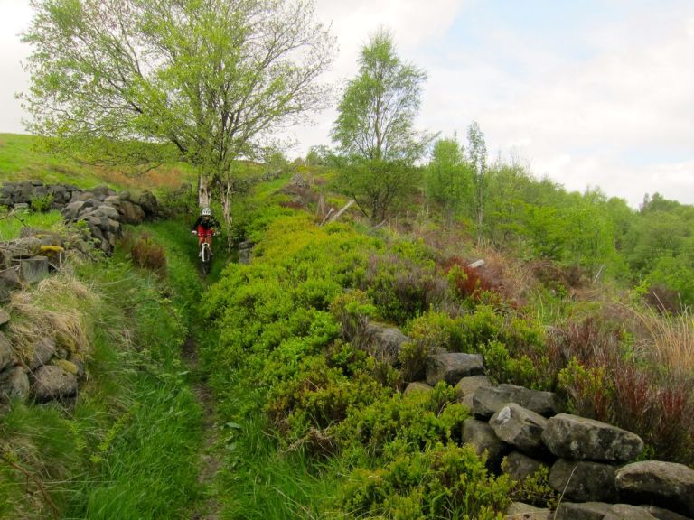 Monday Morning Debrief 25