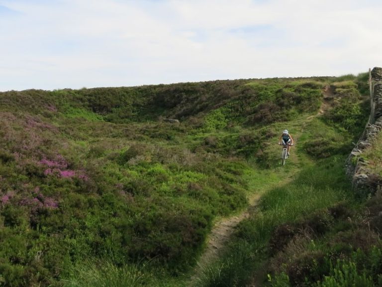 Monday Morning Debrief 31