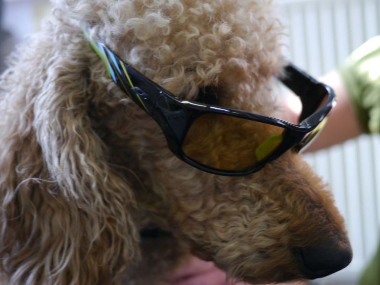 Fresh Goods Friday 147