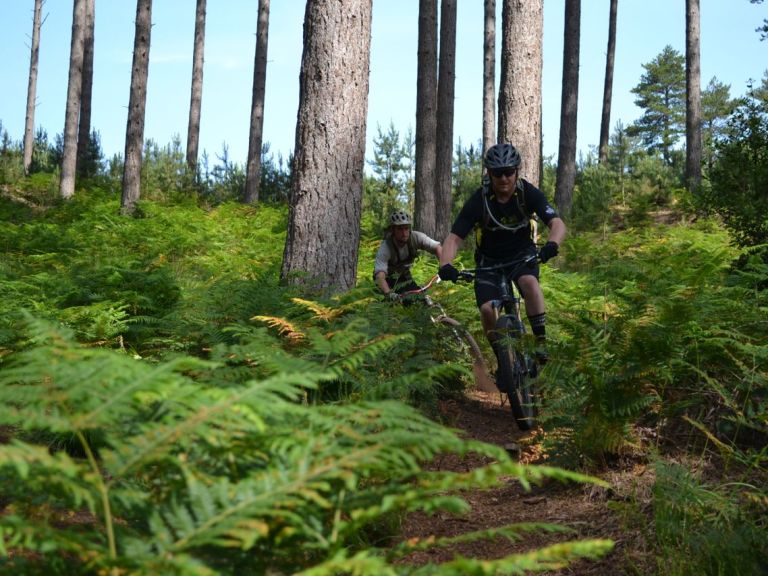 A Tuesday Treats winner reports – Poole Hustling