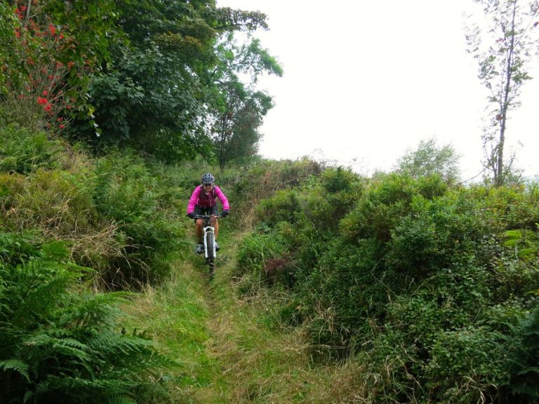 Monday Morning Debrief 40