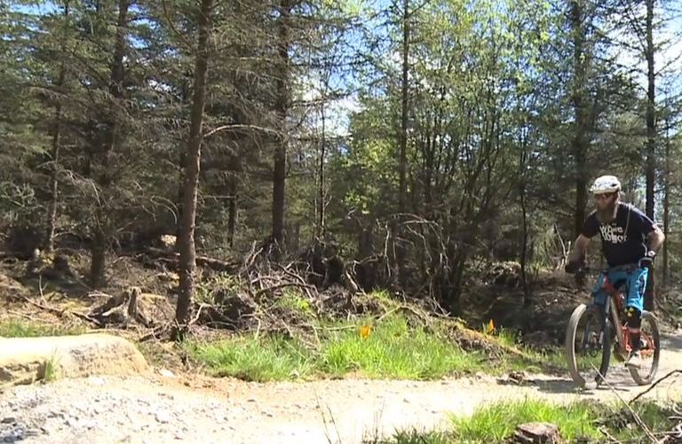 Midweek Mini Movies 165