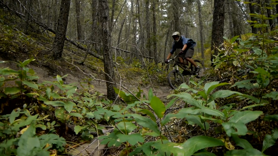 Midweek Mini Movies 170