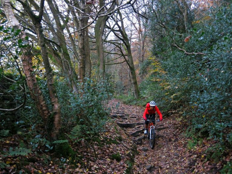 Monday Morning Debrief 47