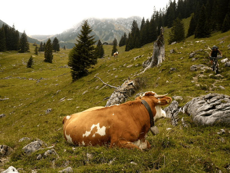 Monday Morning Debrief 45