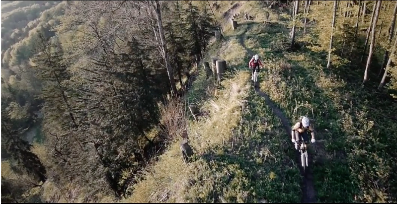 Midweek Mini Movies 178