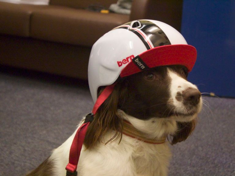 Bern baby Bern (with a side order of Contour).