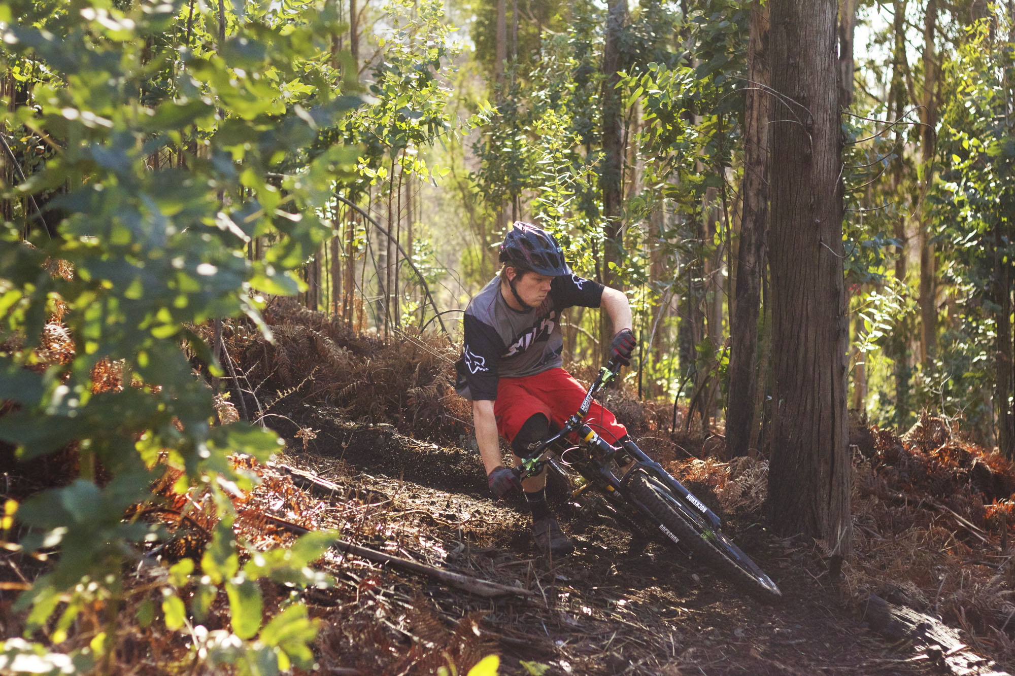 Trippin – Episode 2 – Madeira