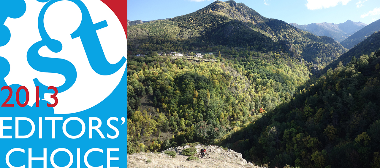 Editors’ Choice 2013: Chipps.