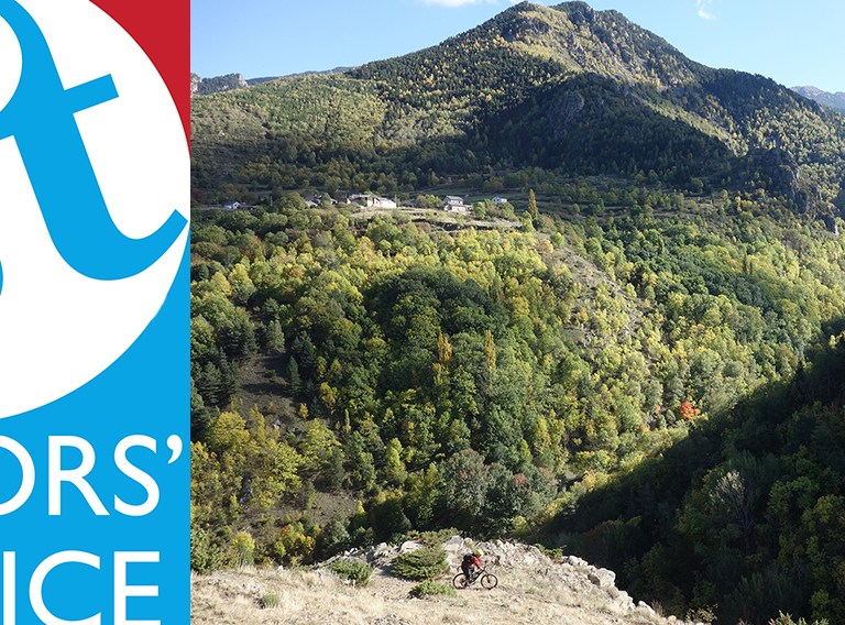 Editors’ Choice 2013: Chipps.