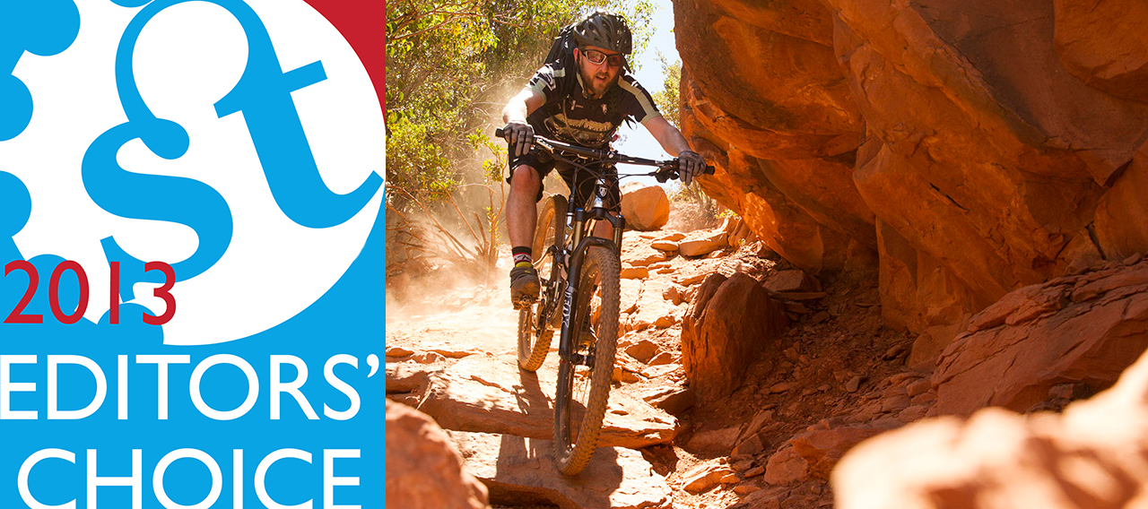 Editors’ Choice 2013: Mark