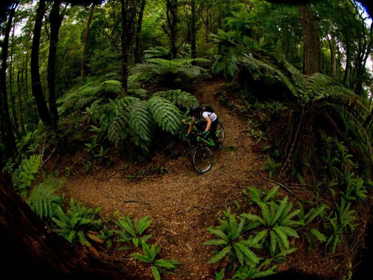 Juliana goes NZ for a RideHousemartin adventure