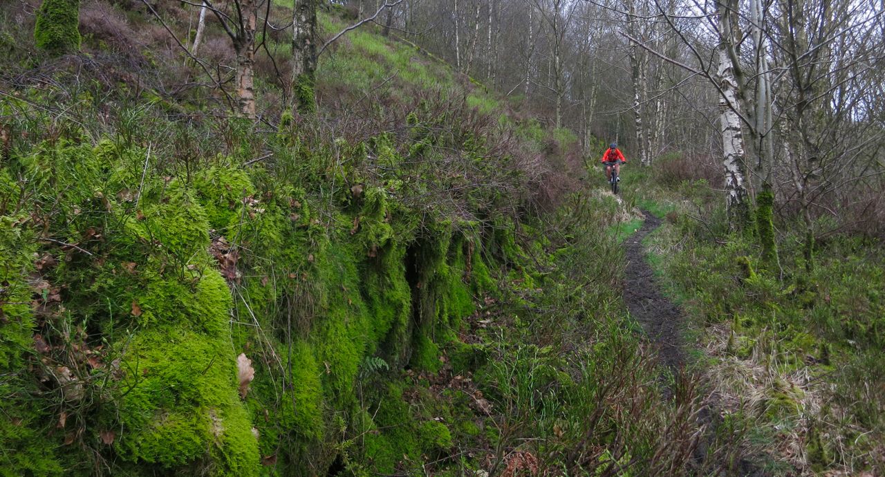 Monday Morning Debrief 58