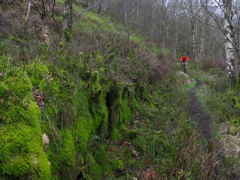 Monday Morning Debrief 58