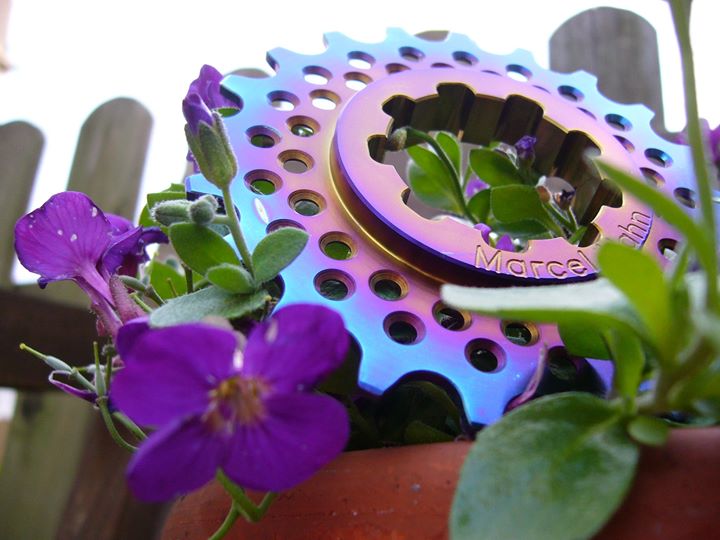 Marcel Hahn’s amazing singlespeed cogs