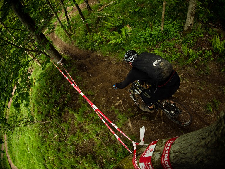 Tweedlove: EWS, The Calm Before the Storm