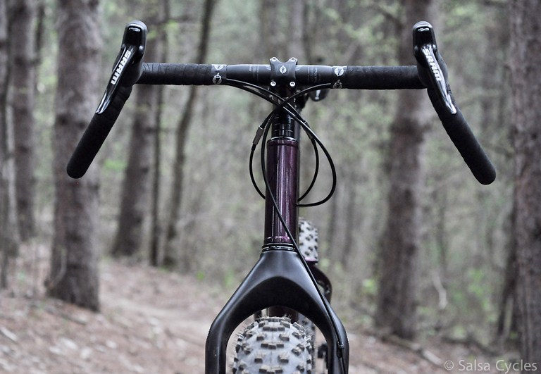 Salsa Purple Reign Prototype