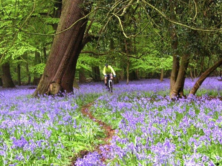 Tuesday Treats 94: Premier Prize