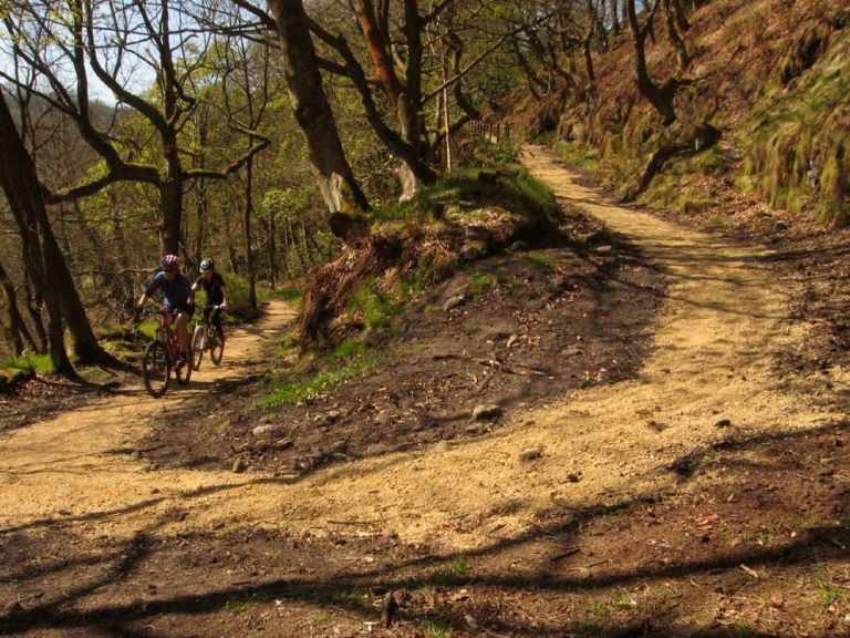 Throwback Thursday: Stolen Singletrack