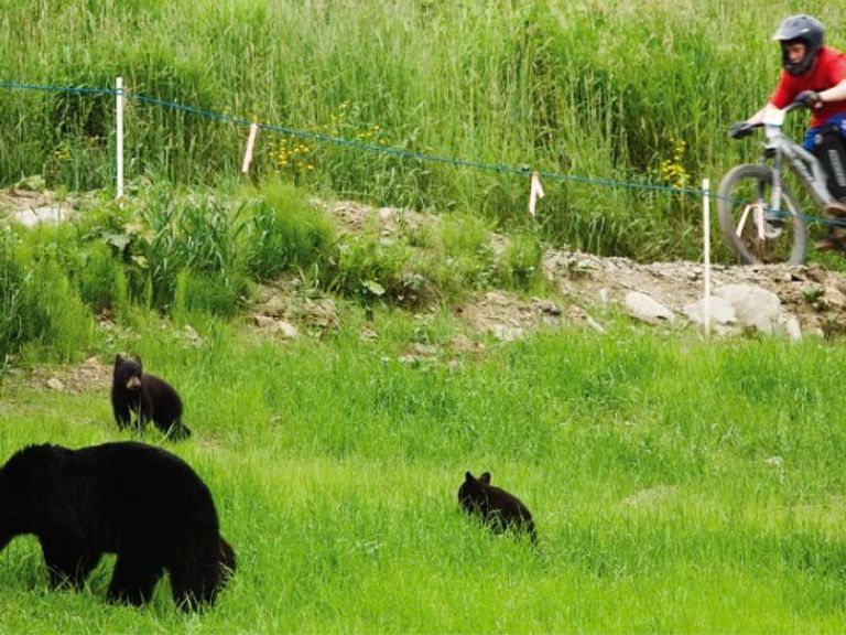 Throwback Thursday: Wrong side of the tracks