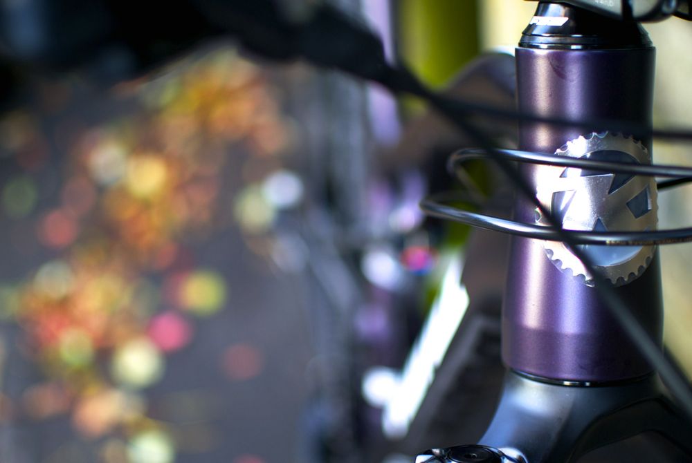 Fresh Goods Friday 209