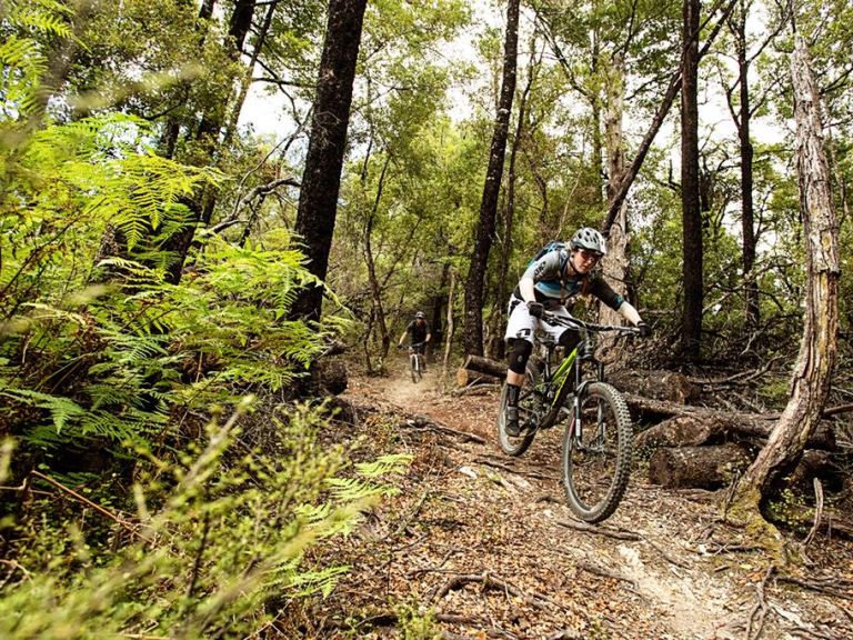 Always Summer Somewhere