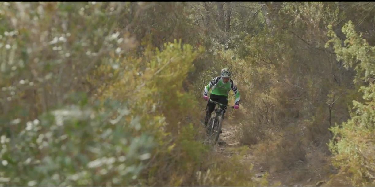 Ibiza Dreaming: Golden Beaches And Tremendous Trails