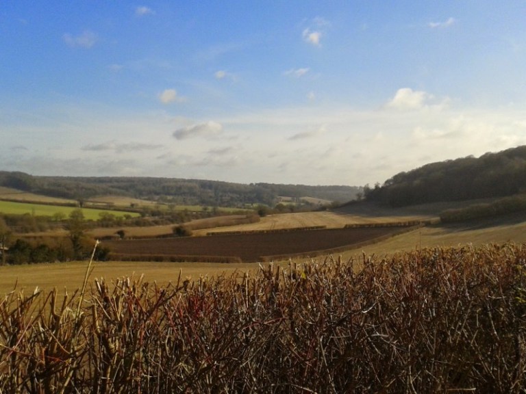 #DOACC – So what now?!