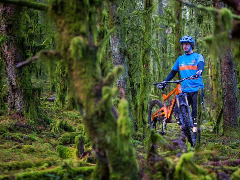 Rowan Sorrell encourages saplings after leg re-break